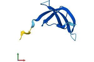 AlphaFold protein structure predicition of Mouse Recombinant Rps28 Protein, UniprotID P62858 (RPS28 Protein (AA 1-69) (Fc Tag))