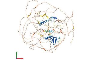 AlphaFold protein structure predicition of Mouse Recombinant Atxn2l Protein, UniprotID Q7TQH0