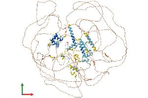 AlphaFold protein structure predicition of Mouse Recombinant Asxl2 Protein, UniprotID Q8BZ32