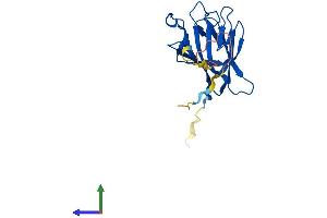 AlphaFold protein structure predicition of Mouse Recombinant Tifa Protein, UniprotID Q793I8 (TIFA Protein (AA 1-184) (His tag))