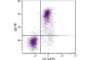 BALB/c mouse splenocytes were stained with Rat Anti-Mouse IgD-PE. (Rat anti-Mouse IgD Antibody (PE))