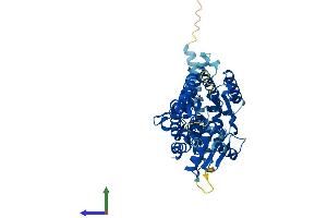 AlphaFold protein structure predicition of Human Recombinant ALG11 Protein, UniprotID Q2TAA5 (ALG11 Protein (AA 1-492) (His tag))