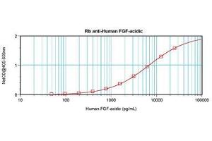 Image no. 1 for anti-Fibroblast Growth Factor 1 (Acidic) (FGF1) antibody (ABIN1498254) (FGF1 antibody)