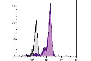 1,10-Phenanthroline stimulated human peripheral blood monocytes were stained with Mouse Anti-Human Fas Ligand-FITC. (FASL antibody)