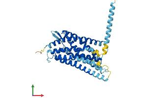 AlphaFold protein structure predicition of Human Recombinant SUCNR1 Protein, UniprotID Q9BXA5