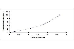 Typical standard curve (NT-ProBNP ELISA Kit)