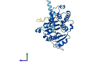 AlphaFold protein structure predicition of Human Recombinant GLT8D2 Protein, UniprotID Q9H1C3