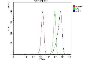 Flow Cytometry analysis of ANA-1 cells using anti-Cd80 antibody (ABIN7602197). (CD80 antibody  (AA 62-92))