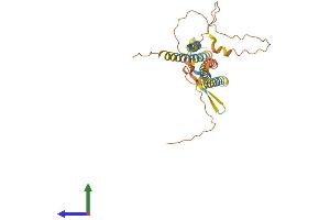 AlphaFold protein structure predicition of Human Recombinant TMEM171 Protein, UniprotID Q8WVE6 (TMEM171 Protein (AA 1-324) (His tag))