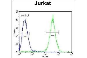 SELPLG Antibody (C-term) (ABIN654425 and ABIN2844160) flow cytometric analysis of Jurkat cells (right histogram) compared to a negative control cell (left histogram). (SELPLG antibody  (C-Term))