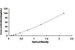ELISA image for Granulin (GRN) ELISA Kit (ABIN425707)
