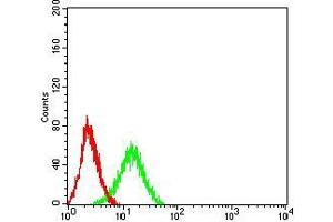 Flow cytometric analysis of Jurkat cells using ADAR mouse mAb (green) and negative control (red). (ADAR antibody  (AA 1085-1223))