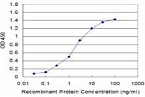 Detection limit for recombinant GST tagged PPFIBP2 is approximately 0. (PPFIBP2 antibody  (AA 1-100))