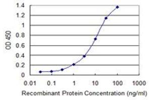 Detection limit for recombinant GST tagged RAB11FIP5 is 0. (RAB11FIP5 antibody  (AA 554-652))