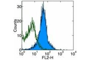 Image no. 1 for anti-CD274 (PD-L1) antibody (ABIN477204) (PD-L1 antibody)