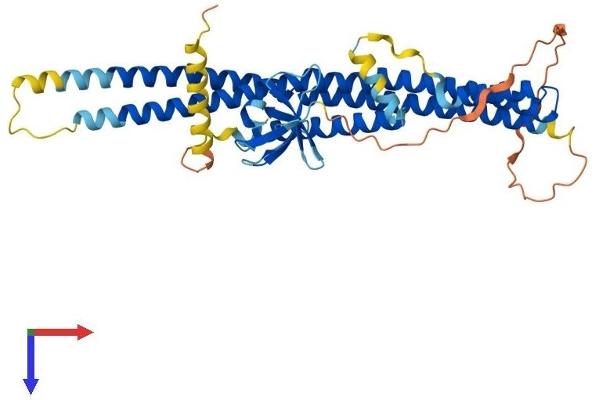 SH3GLB2 Protein (AA 1-400) (His tag)