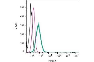 Cell surface detection of TRPV2 by direct flow cytometry in live intact human  monocytic leukemia cells: + Rabbit IgG Isotype Control-FITC (ABIN7582044).