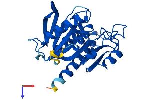 Protein Structure (PS) image for Chromosome 13 Open Reading Frame 27 (C13orf27) (AA 1-227) protein (His tag) (ABIN7544340)