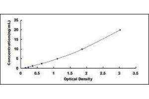 Typical standard curve (MIF ELISA Kit)