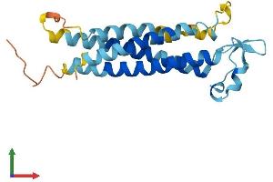Protein Structure (PS) image for Transmembrane 4 Superfamily Member 4 (TM4SF4) (AA 1-202) protein (His tag) (ABIN7560084)