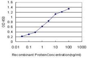 Detection limit for recombinant GST tagged ABL2 is approximately 0. (ABL2 antibody  (AA 743-842))