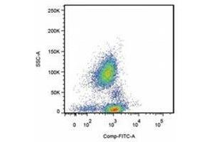 Flow Cytometry (FACS) image for anti-Selectin P Ligand (SELPLG) antibody (PE) (ABIN567645) (SELPLG antibody  (PE))