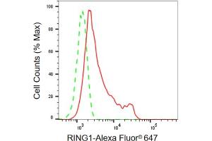 Flow cytometric analysis of RING1 expression in HepG2 cells using RING1 antibody (ABIN7800240), 1:2,000). (Recombinant RING1 antibody)