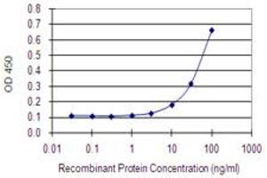 Detection limit for recombinant GST tagged ST3GAL5 is 3 ng/ml as a capture antibody. (ST3GAL5 antibody  (AA 31-117))