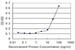 Detection limit for recombinant GST tagged INPP1 is 1 ng/ml as a capture antibody. (INPP1 antibody  (AA 1-399))