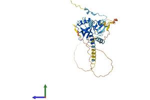 AlphaFold protein structure predicition of Mouse Recombinant Cep41 Protein, UniprotID Q99NF3 (CEP41 Protein (AA 1-373) (His tag))