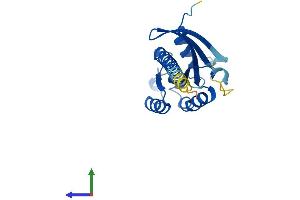 AlphaFold protein structure predicition of Mouse Recombinant Rab35 Protein, UniprotID Q6PHN9