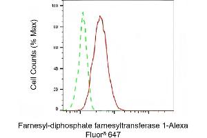 Flow cytometric analysis of Farnesyl-diphosphate farnesyltransferase 1 expression in HAP-1 cells using Farnesyl-diphosphate farnesyltransferase 1 antibody (ABIN7798570), 1:2,000). (FDFT1 antibody)