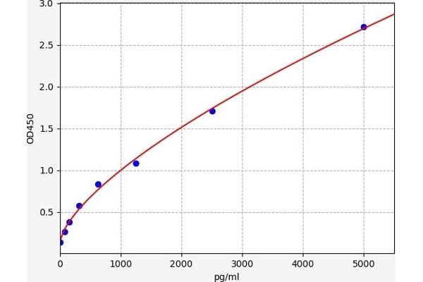 Phenylalanine Hydroxylase ELISA Kit