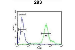 Flow cytometric analysis of 293 cells using REG3A Antibody (N-term) Cat. (REG3A antibody  (N-Term))