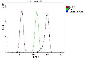Flow Cytometry analysis of A431 cells using anti-SORBS3 antibody (ABIN7603121).