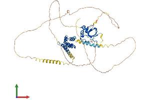 AlphaFold protein structure predicition of Human Recombinant PSIP1 Protein, UniprotID O75475 (PSIP1 Protein (AA 1-530) (His tag))