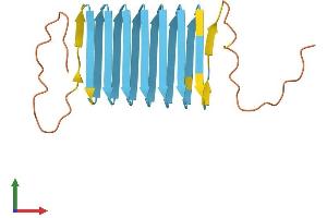 AlphaFold protein structure predicition of Human Recombinant KRTAP4-3 Protein, UniprotID Q9BYR4 (KRTAP4-3 Protein (AA 1-195) (His tag))