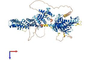 Ubiquitin Specific Peptidase 35 (USP35) (AA 1-1018) protein (His tag)