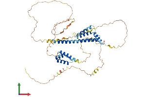 AlphaFold protein structure predicition of Human Recombinant PKNOX2 Protein, UniprotID Q96KN3 (PKNOX2 Protein (AA 1-472) (His tag))