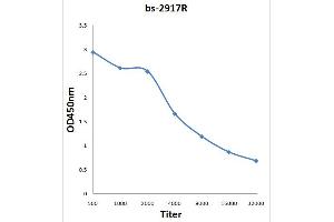 Antigen: 0. (SPINK1 antibody  (AA 66-79))