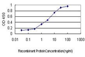 Detection limit for recombinant GST tagged COASY is approximately 0. (COASY antibody  (AA 1-225))