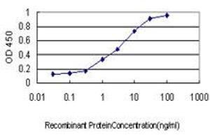 Detection limit for recombinant GST tagged COASY is approximately 0. (COASY antibody  (AA 1-225))