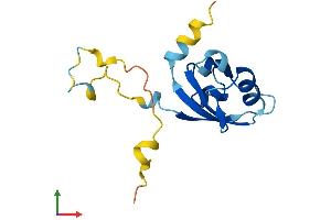 AlphaFold protein structure predicition of Human Recombinant PDZD11 Protein, UniprotID Q5EBL8