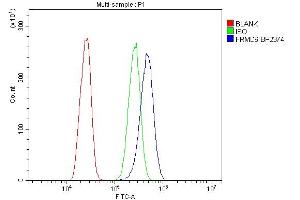 Flow Cytometry analysis of A431 cells using anti-FRMD6 antibody (ABIN7599577). (FRMD6 antibody  (AA 1-95))