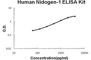 Human Nidogen-1/Entactin/NID-1 PicoKine ELISA Kit standard curve (Nidogen 1 ELISA Kit)