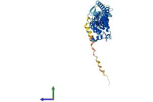 AlphaFold protein structure predicition of Mouse Recombinant Rom1 Protein, UniprotID P32958