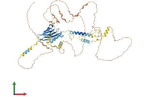 AlphaFold protein structure predicition of Human Recombinant LSR Protein, UniprotID Q86X29 (LSR Protein (AA 1-649) (His tag))