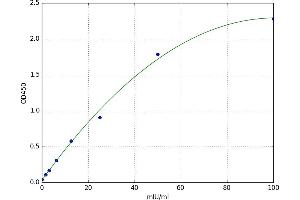 Dopamine Receptor D2 (DRD2) ELISA Kit