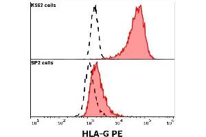 Anti-human CD30 PE antibody (clone Ber-H8) specificity verification by flow cytometry Anti-human CD30 PE (Ber-H8) antibody (concentration in sample 3 μg/mL, red-filled histogram) binds specifically to CD30 expressed on surface of K562 cells (upper panel), but not on surface of SP2 (lower panel).