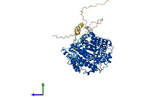 AlphaFold protein structure predicition of Human Recombinant GYS2 Protein, UniprotID P54840